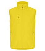 Citron [10]