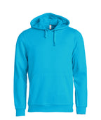 turquoise [54]