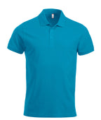 turquoise [54]