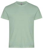 Sage Green [615]
