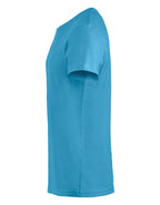 turquoise [54]