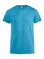 turquoise [54]