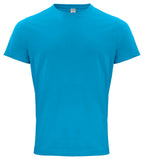 turquoise [54]
