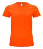 orange [175]