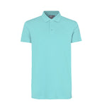 Mint [C-520]