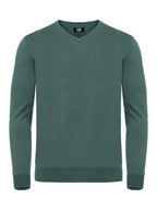 Pine Green [694]