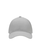 Silver [94]