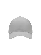 Silver [94]