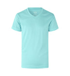 Mint [C-520]